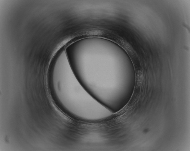 X0000097780726200803070912