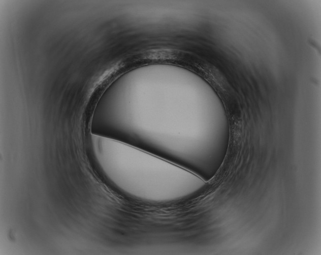 X0000097780727200803070912
