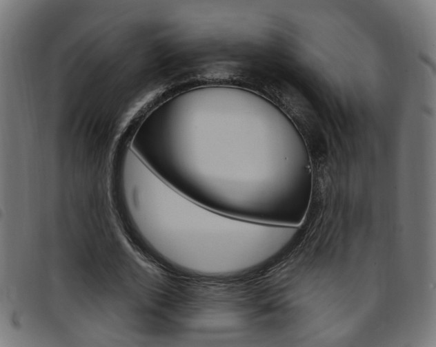 X0000097780728200803070912