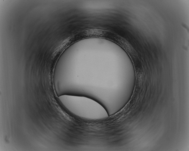 X0000097780729200803070912