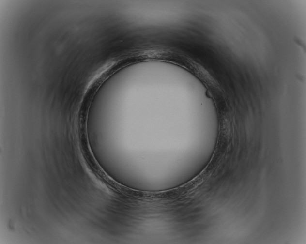 X0000097780730200803070913