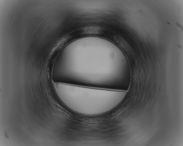 X0000097780731200803070913