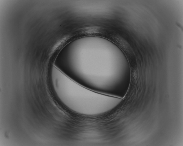 X0000097780732200803070913
