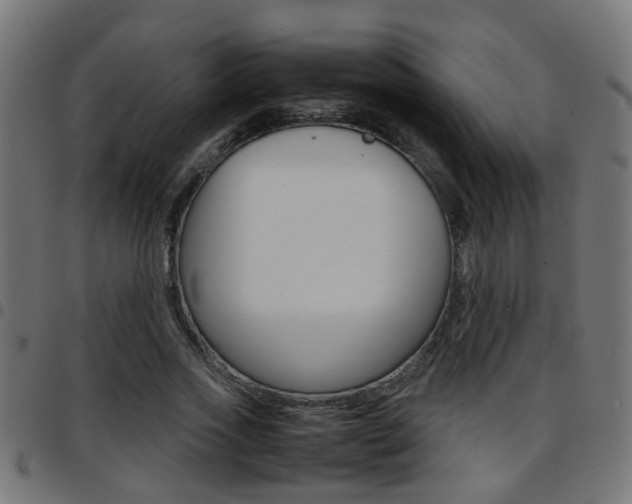 X0000097780733200803070913