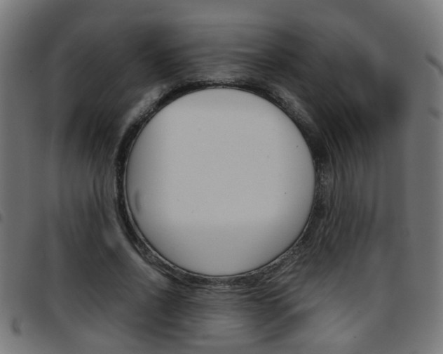 X0000097780734200803070913