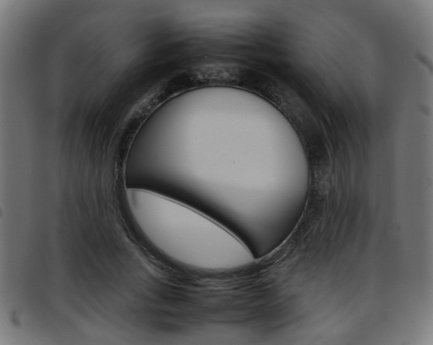 X0000097780735200803070913