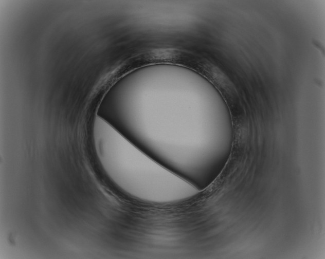 X0000097780736200803070913