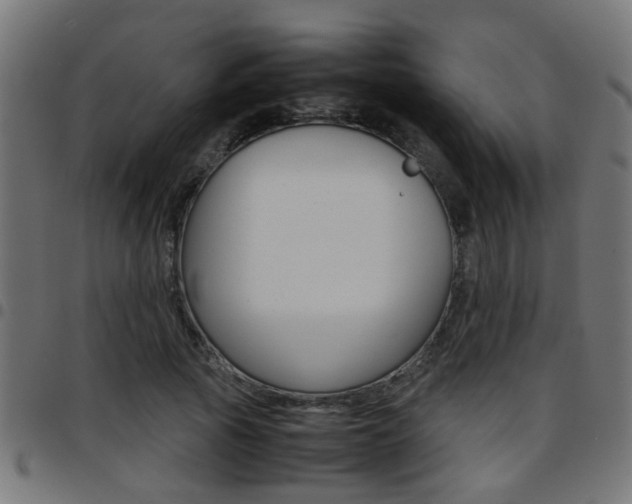 X0000097780737200803070913