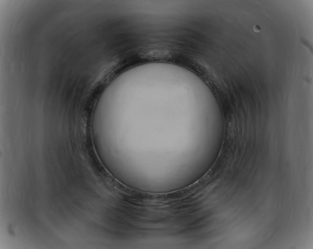 X0000097780739200803070913
