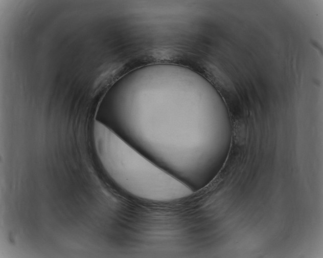 X0000097780740200803070913