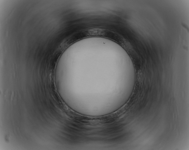 X0000097780741200803070913