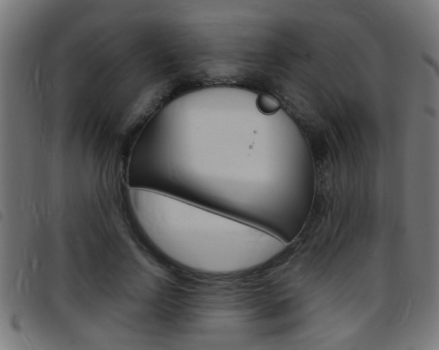 X0000097780742200803070913
