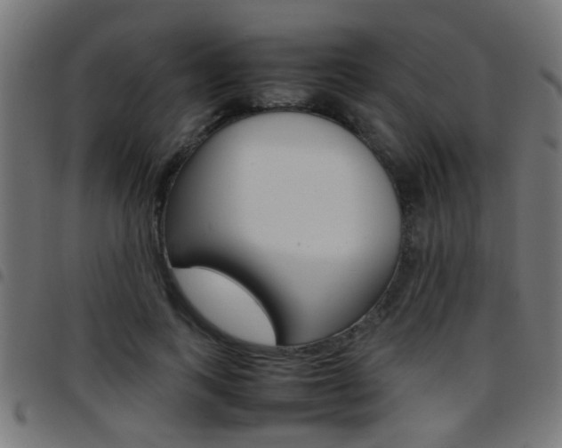 X0000097780743200803070913