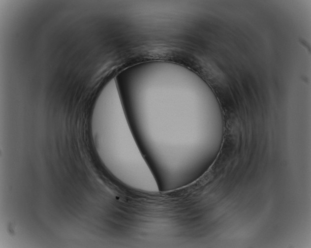 X0000097780744200803070913