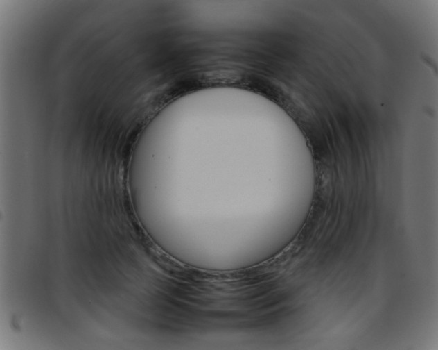 X0000097780745200803070913