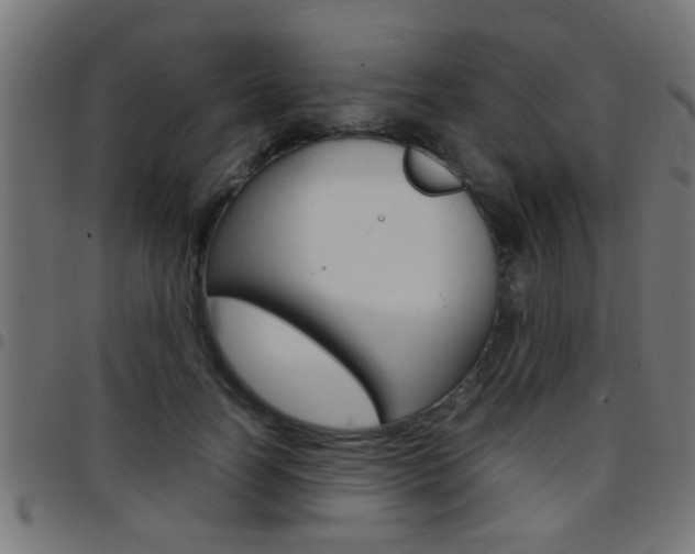 X0000097780746200803070913