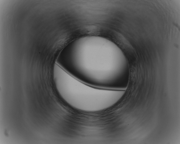 X0000097780748200803070913