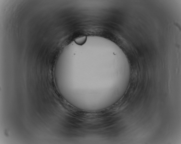 X0000097780749200803070913