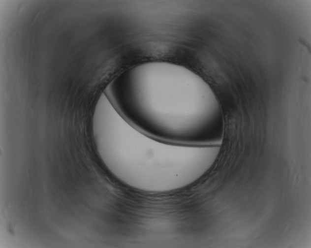 X0000097780750200803070913
