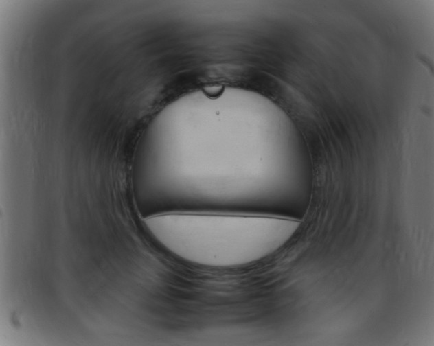 X0000097780751200803070913