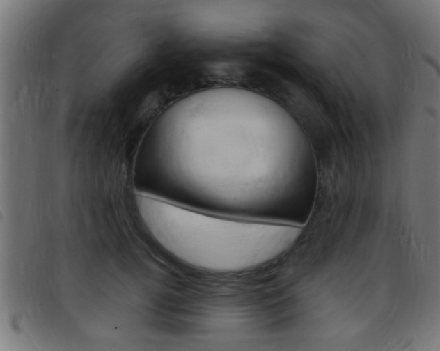 X0000097780752200803070913