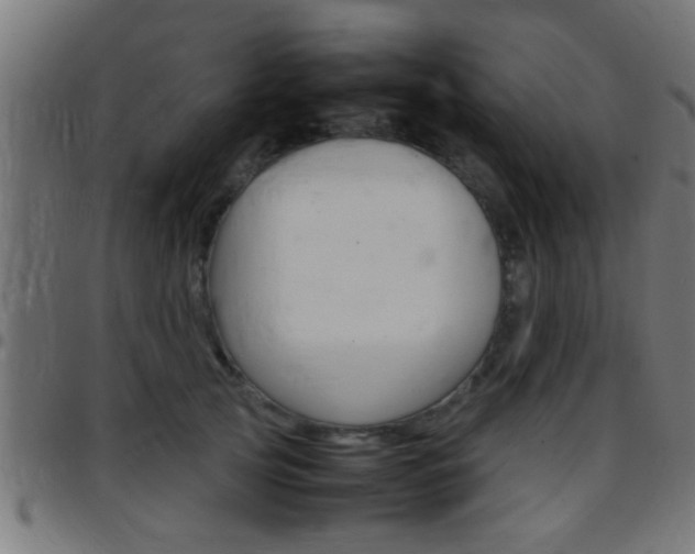 X0000097780753200803070913