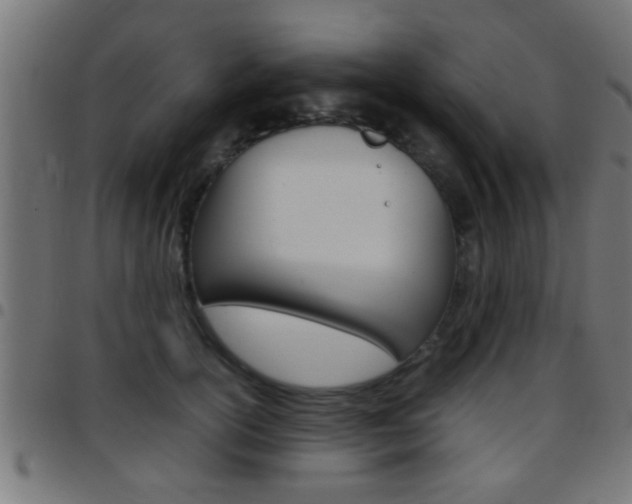 X0000097780754200803070913