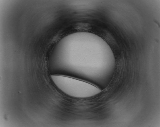 X0000097780755200803070913