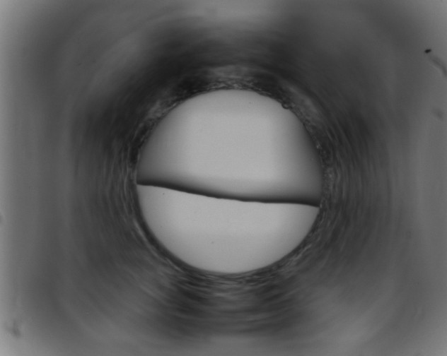 X0000097780757200803070913