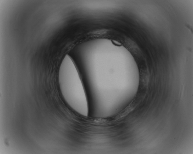 X0000097780758200803070913