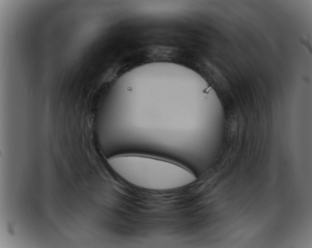 X0000097780759200803070913