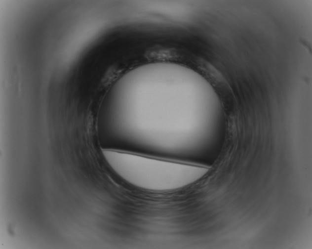 X0000097780760200803070913