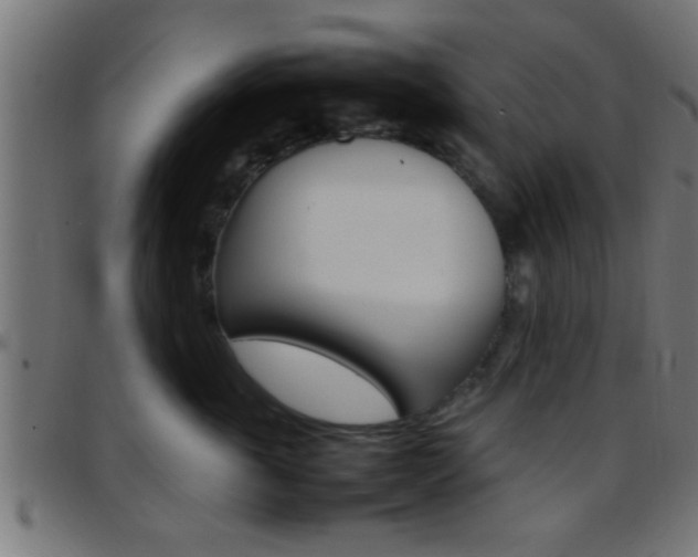 X0000097780763200803070913