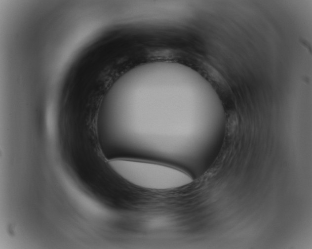 X0000097780764200803070913