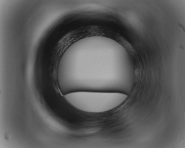 X0000097780765200803070913