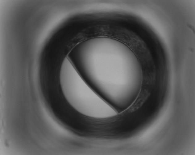 X0000097780766200803070913