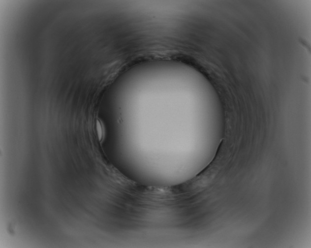 X0000097780768200803070913