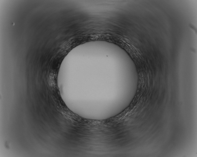 X0000097780770200803070912