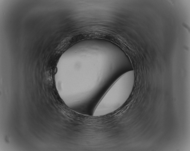 X0000097780771200803070912