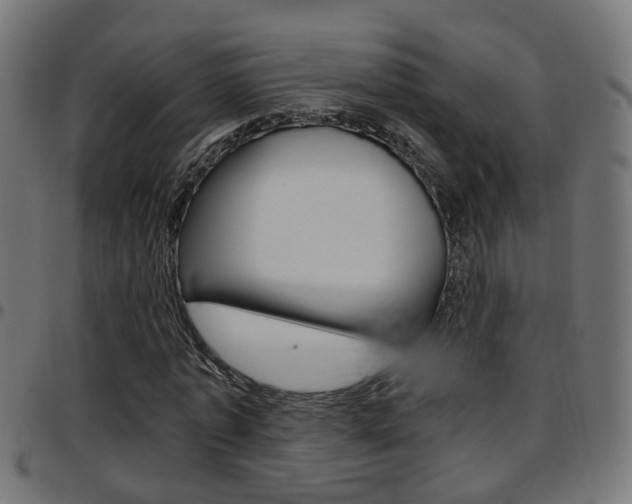 X0000097780773200803070912