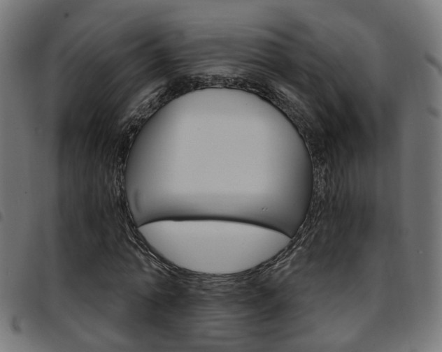 X0000097780774200803070912