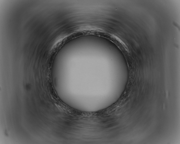 X0000097780775200803070912