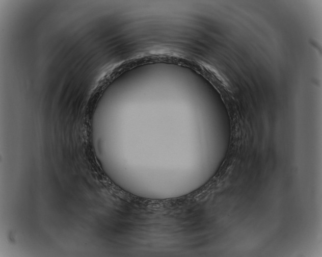 X0000097780776200803070912