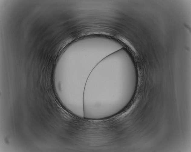 X0000097780777200803070912