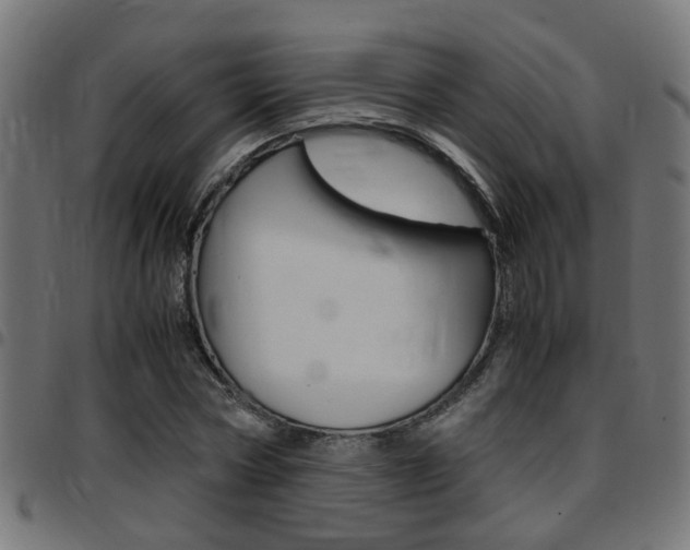 X0000097780778200803070912
