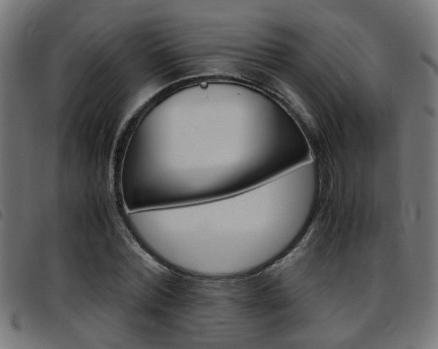 X0000097780780200803070912
