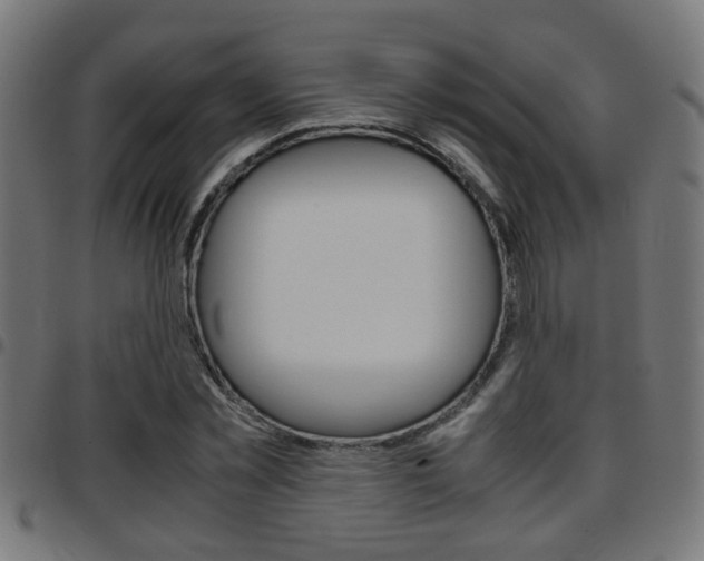 X0000097780781200803070912