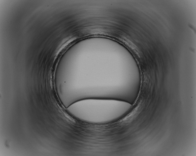 X0000097780782200803070912