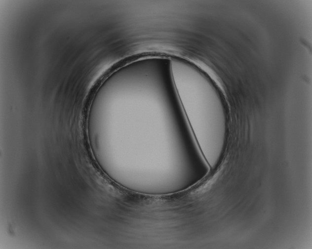 X0000097780783200803070912