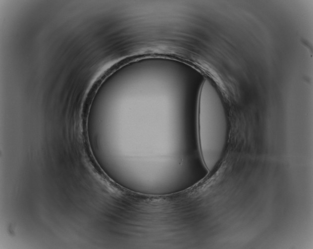 X0000097780784200803070912